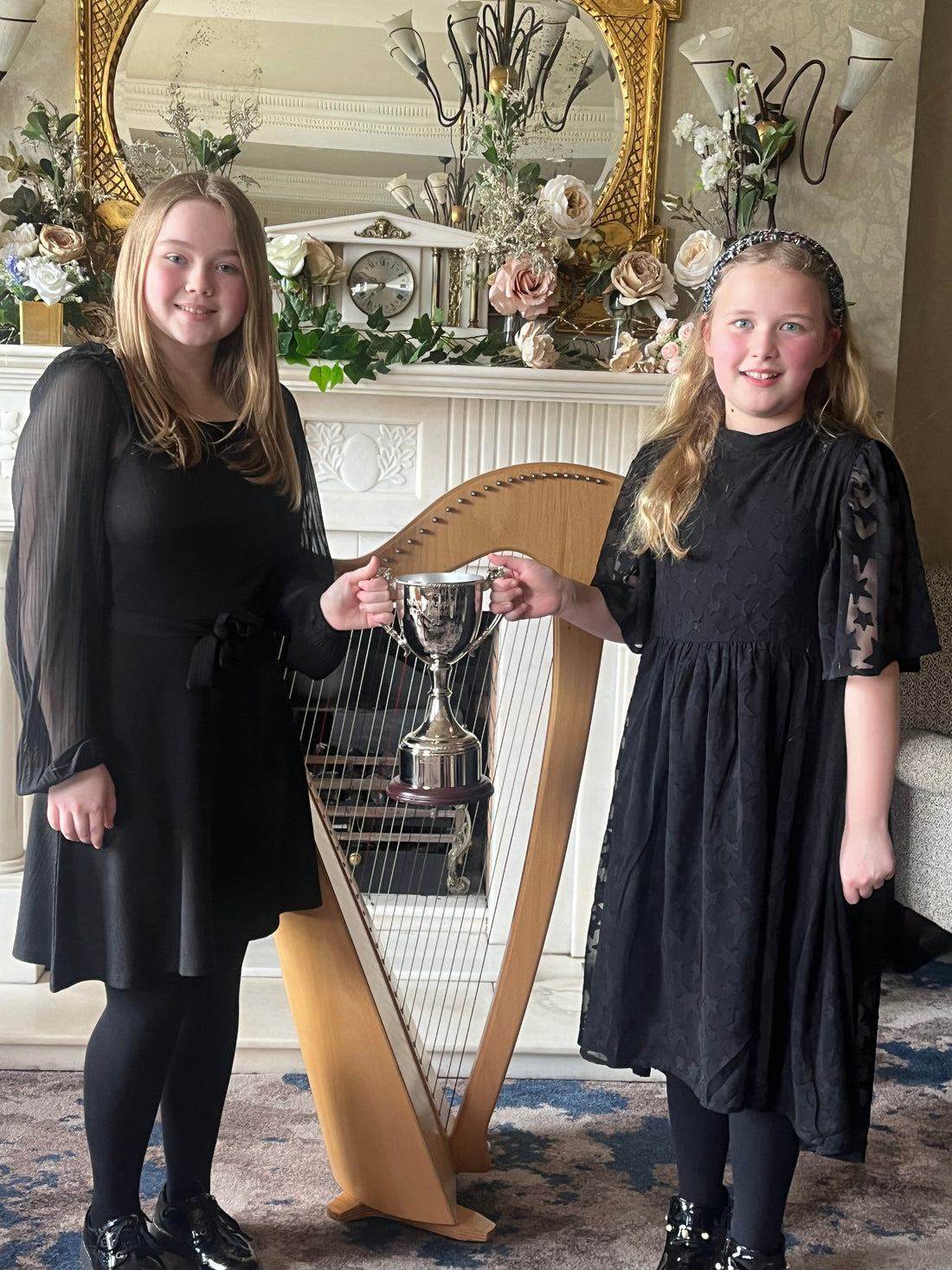 Why You Should Get Your Child Into the Irish Harp?