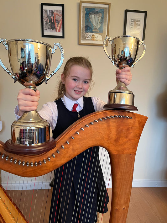 Begin Your Irish Harp Journey with Beginner Friendly Lessons