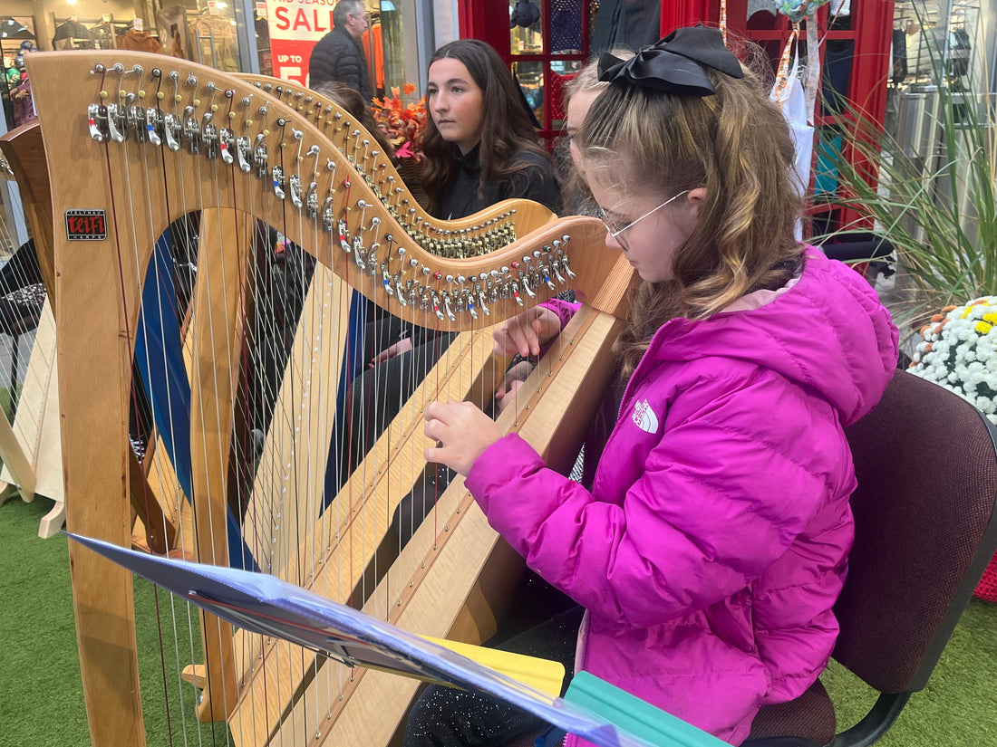 Take Your First Steps into Irish Harp Playing with Learn Irish Harp Online